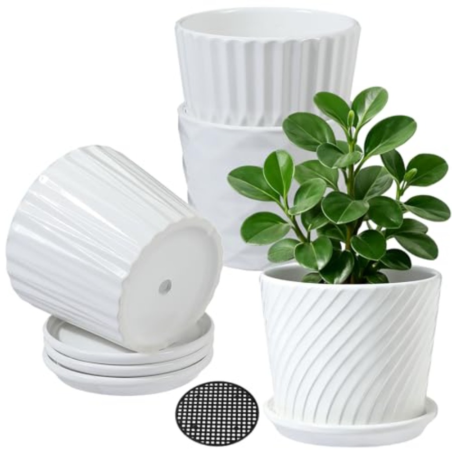 Snake Plant Ceramic - Pflanzentöpfe - Zylindrische Keramik-Pflanzgefäße mit verbundener