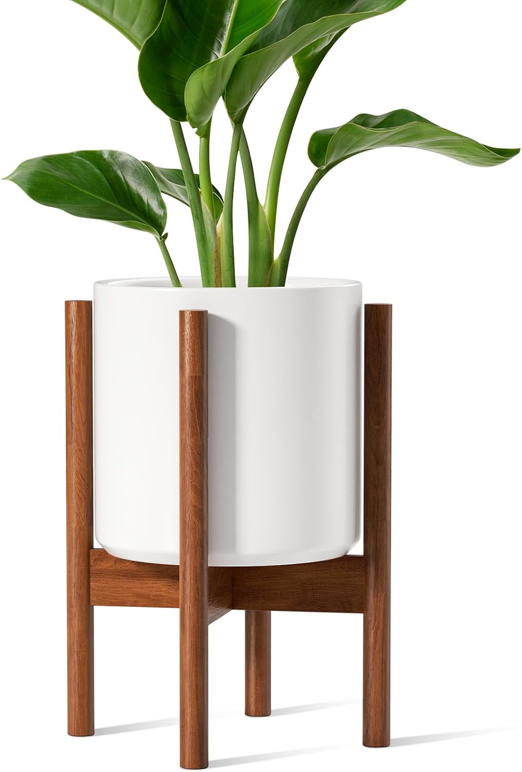 Snake Plant Ceramic - 12 Zoll weißer erhöhter Keramik-Pflanztopf mit