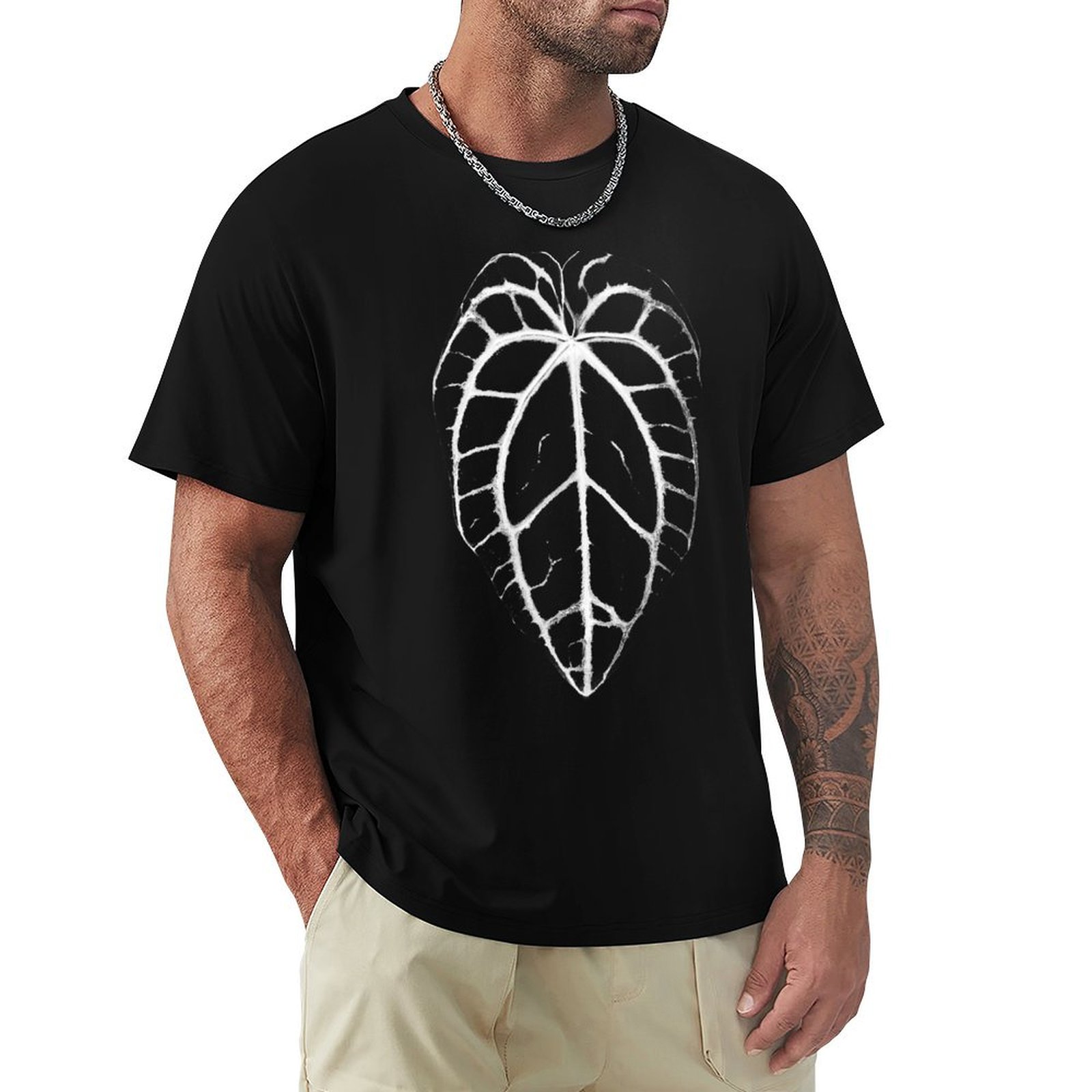 ANTHURIUM CRYSTALLINUM VEINS T – Anthurium Crystallinum Bewertung und Preis