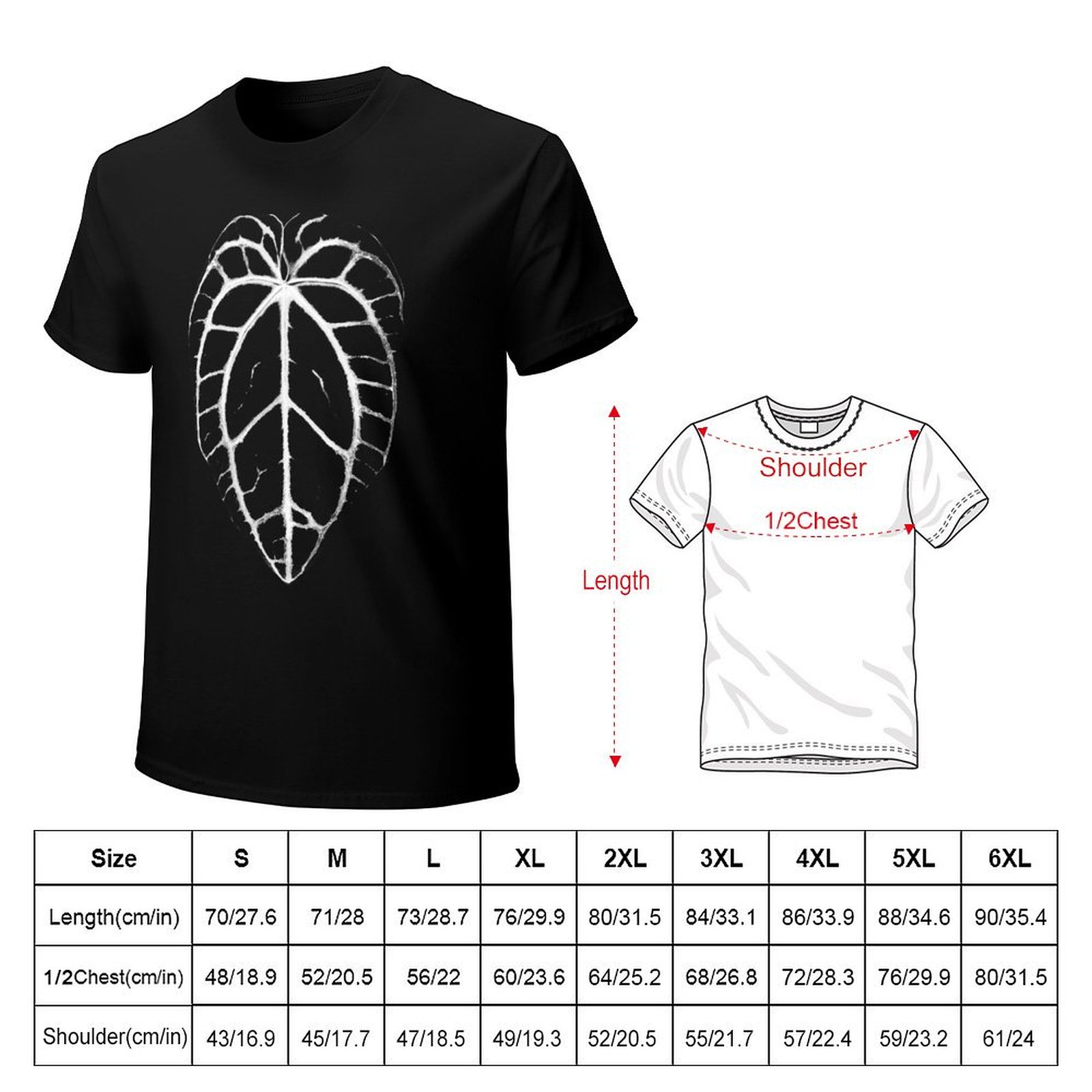 ANTHURIUM CRYSTALLINUM VEINS T – Anthurium Crystallinum Bewertung und Preis