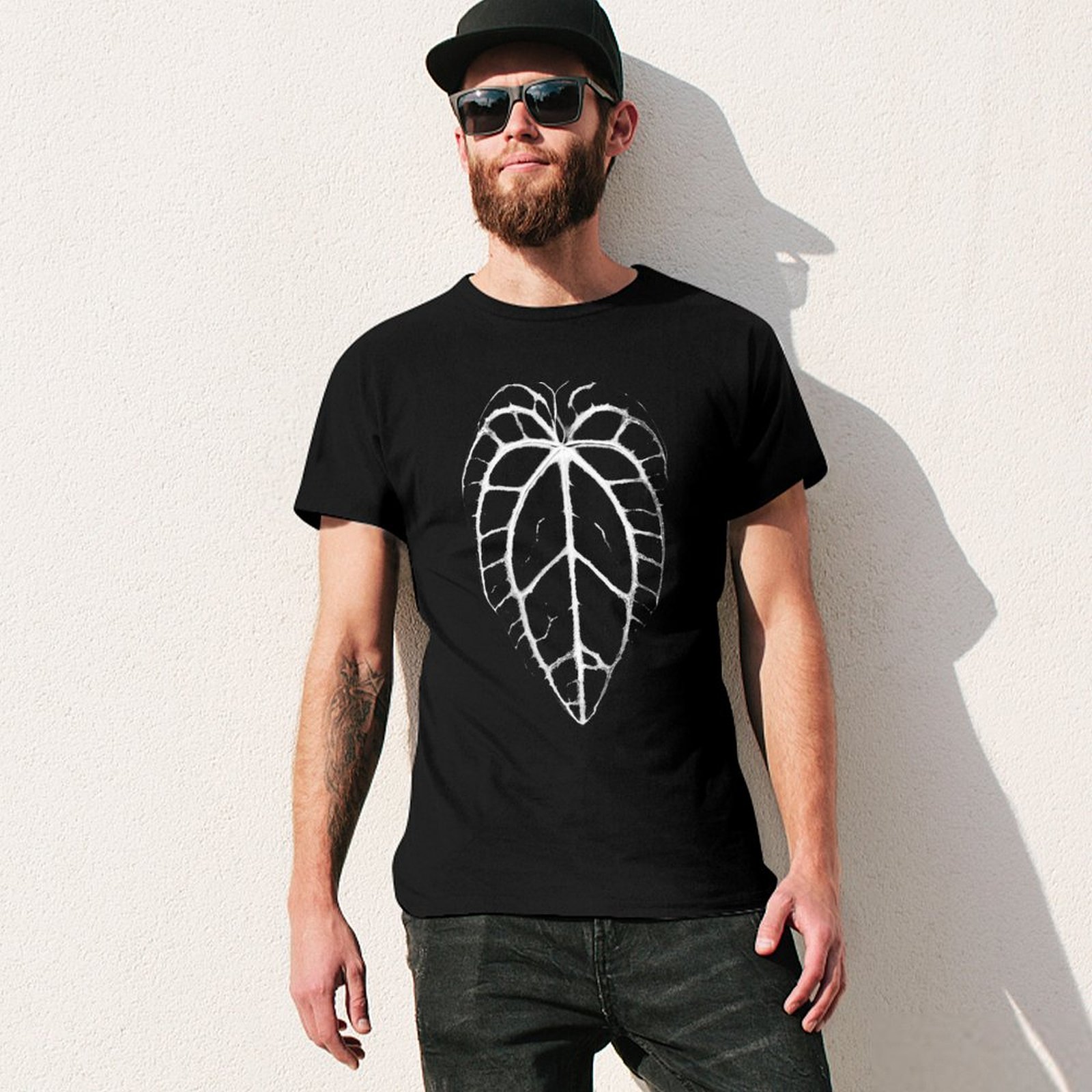 ANTHURIUM CRYSTALLINUM VEINS T – Anthurium Crystallinum Bewertung und Preis