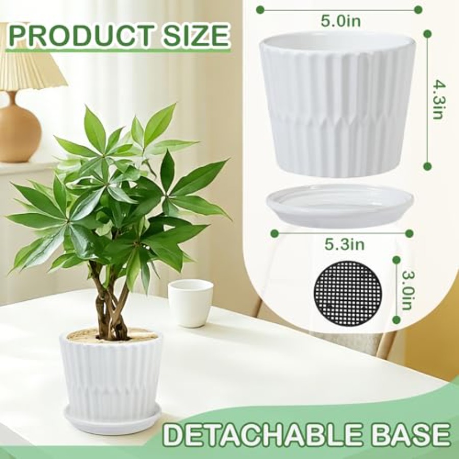 Pflanzentöpfe - Zylindrische K – Snake Plant Ceramic Bewertung und Preis