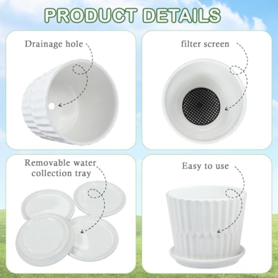 Pflanzentöpfe - Zylindrische K – Snake Plant Ceramic Bewertung und Preis
