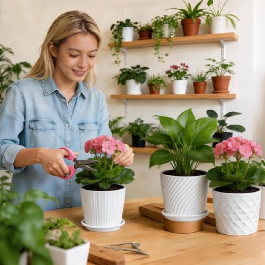 Pflanzentöpfe - Zylindrische K – Snake Plant Ceramic Bewertung und Preis