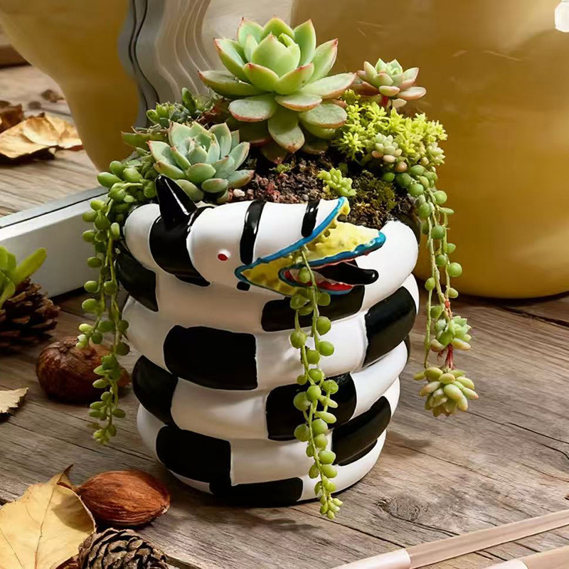 1 Stück schwarz-weißer schlang – Snake Plant Ceramic Bewertung und Preis