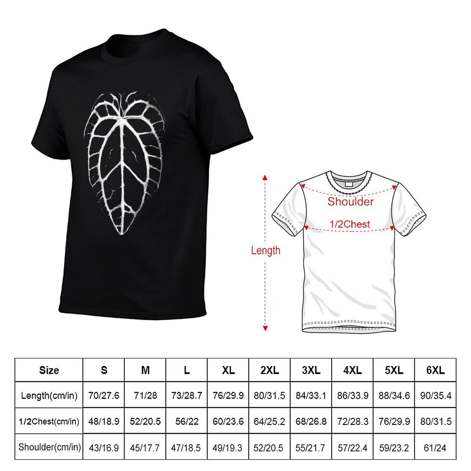 ANTHURIUM CRYSTALLINUM VEINS T – Anthurium Crystallinum Bewertung und Preis