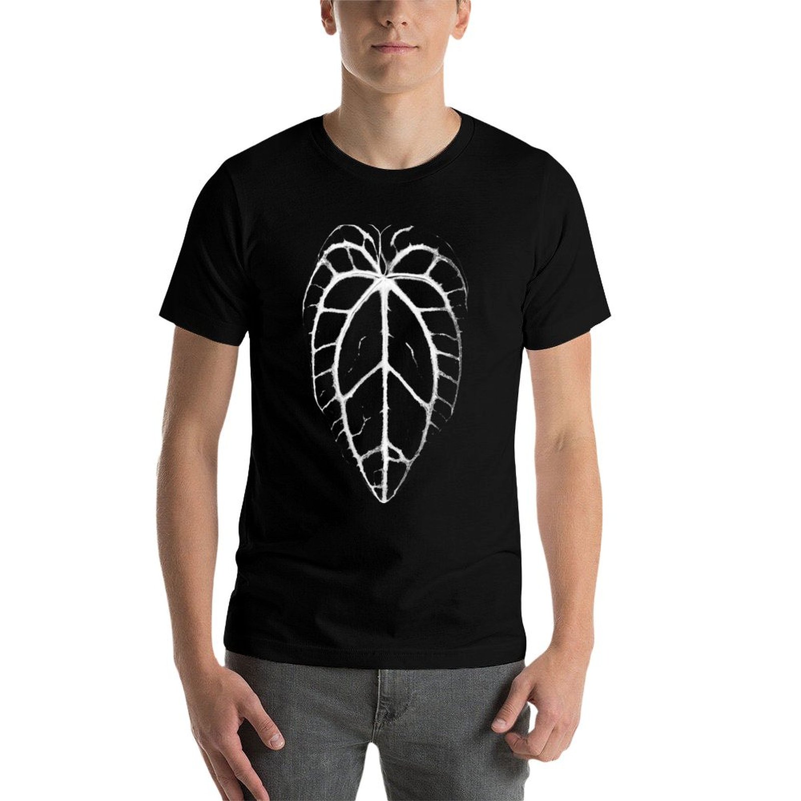 ANTHURIUM CRYSTALLINUM VEINS T – Anthurium Crystallinum Bewertung und Preis