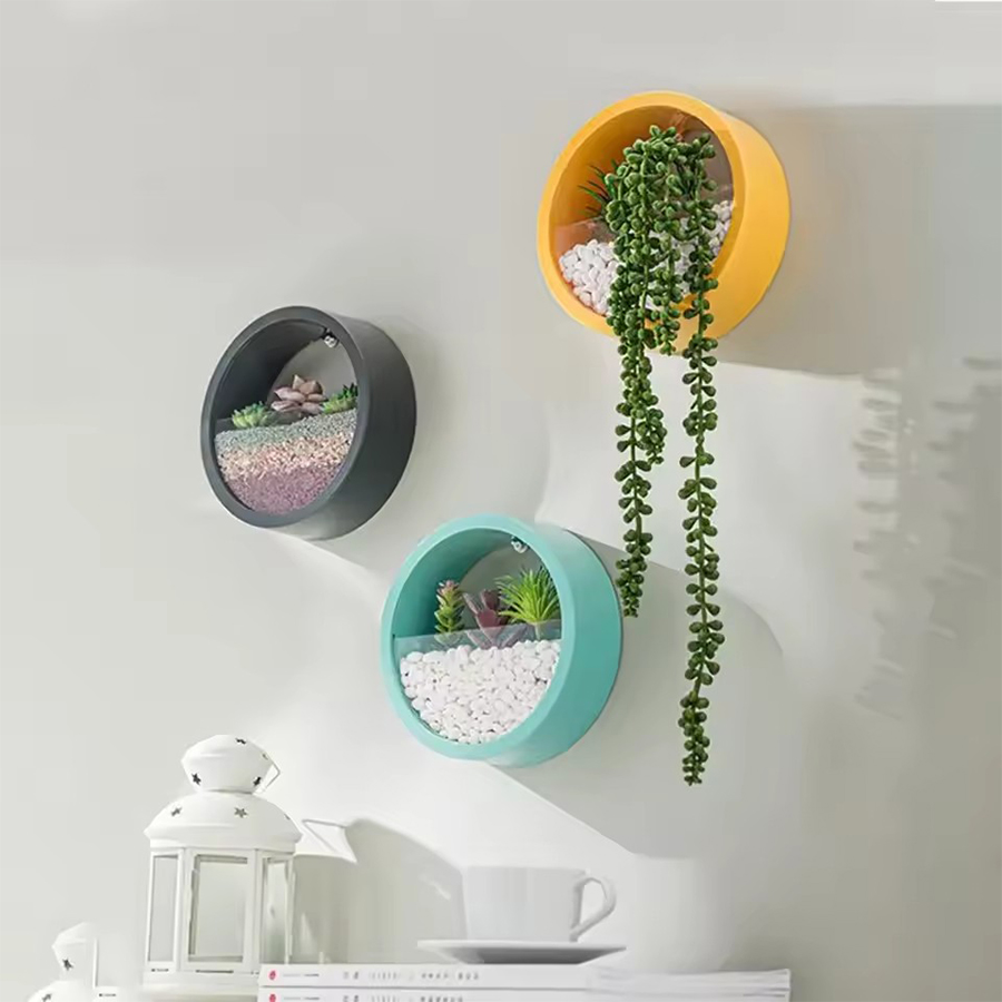 Runder Wandmontage-Blumentopf  – Snake Plant Ceramic Bewertung und Preis