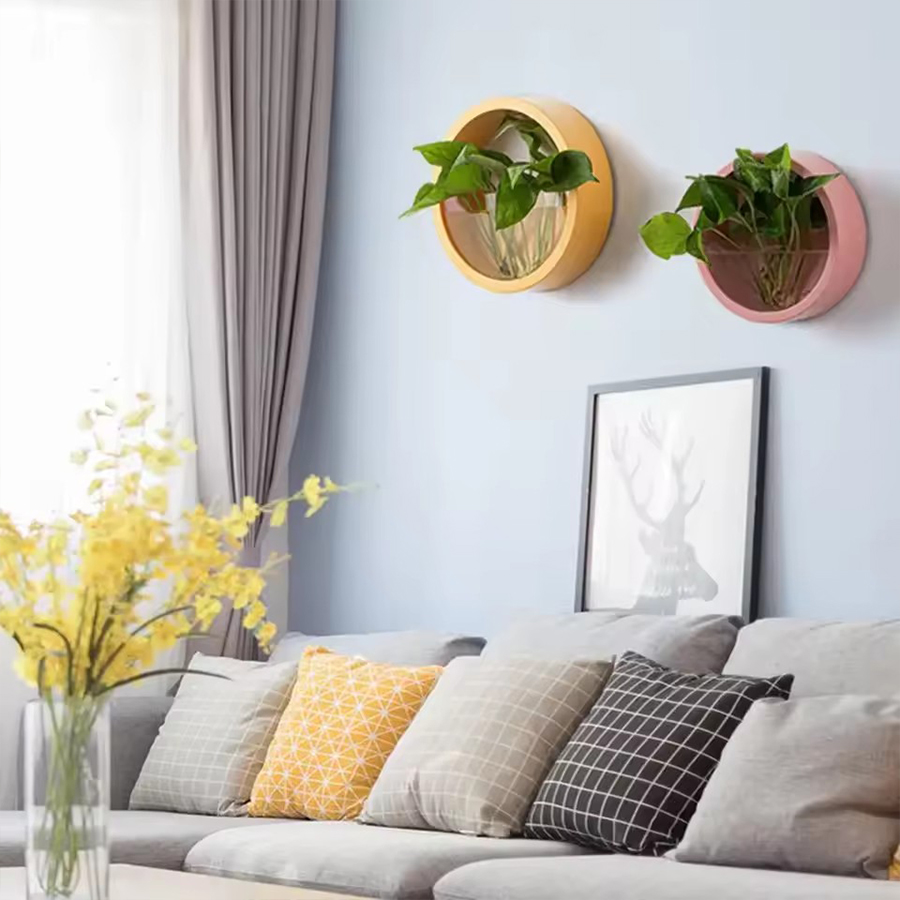Runder Wandmontage-Blumentopf  – Snake Plant Ceramic Bewertung und Preis