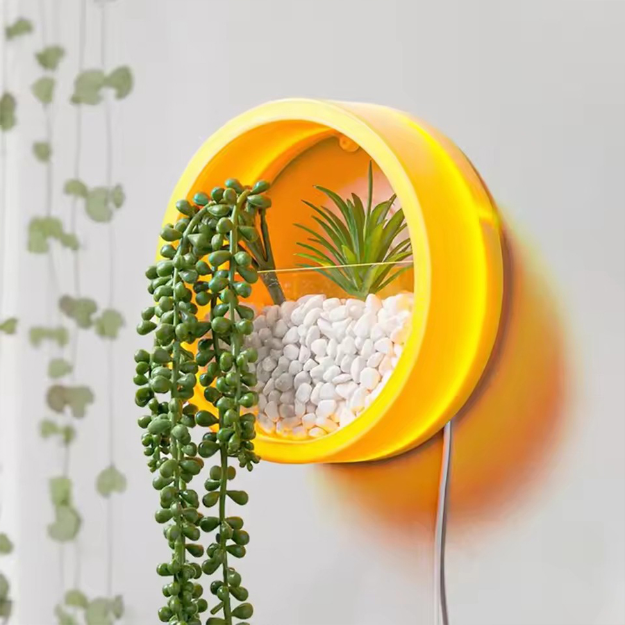 Runder Wandmontage-Blumentopf  – Snake Plant Ceramic Bewertung und Preis