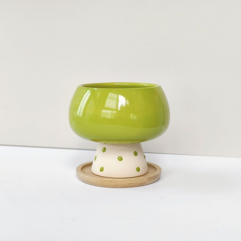Stilvoller Minimalistischer Ke – Snake Plant Ceramic Bewertung und Preis