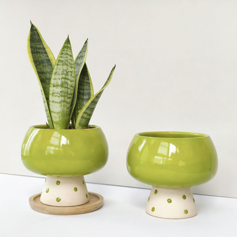 Stilvoller Minimalistischer Ke – Snake Plant Ceramic Bewertung und Preis