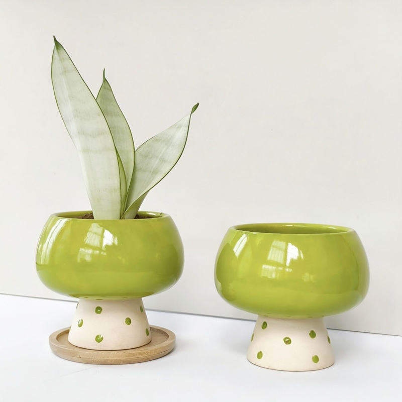 Stilvoller Minimalistischer Ke – Snake Plant Ceramic Bewertung und Preis