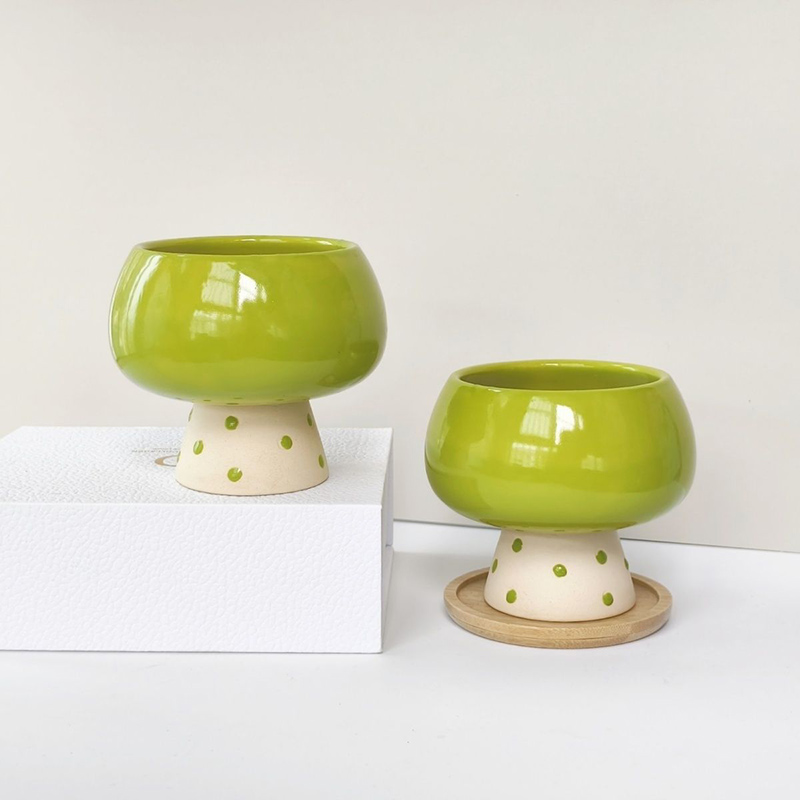 Stilvoller Minimalistischer Ke – Snake Plant Ceramic Bewertung und Preis