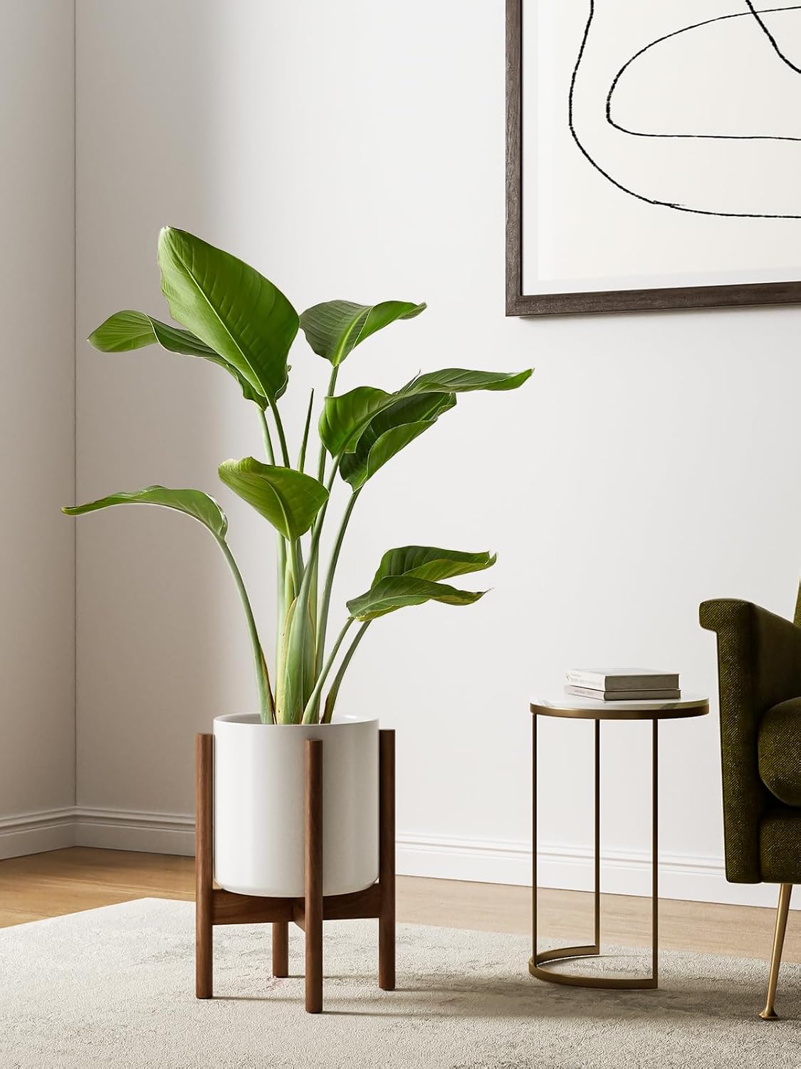12 Zoll weißer erhöhter Kerami – Snake Plant Ceramic Bewertung und Preis