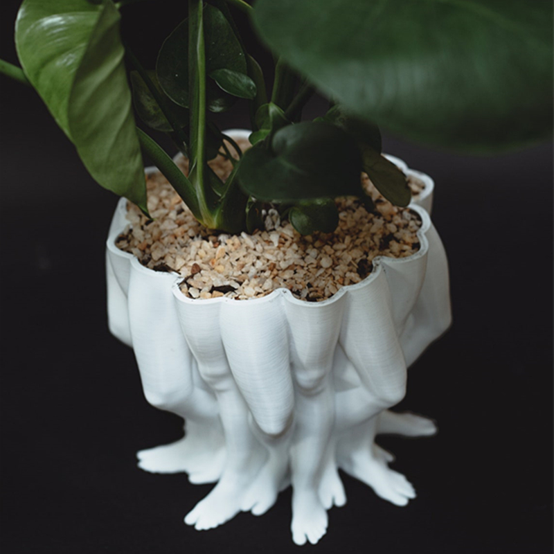 3D gedruckte Polyleg Pflanzer  – Snake Plant Ceramic Bewertung und Preis